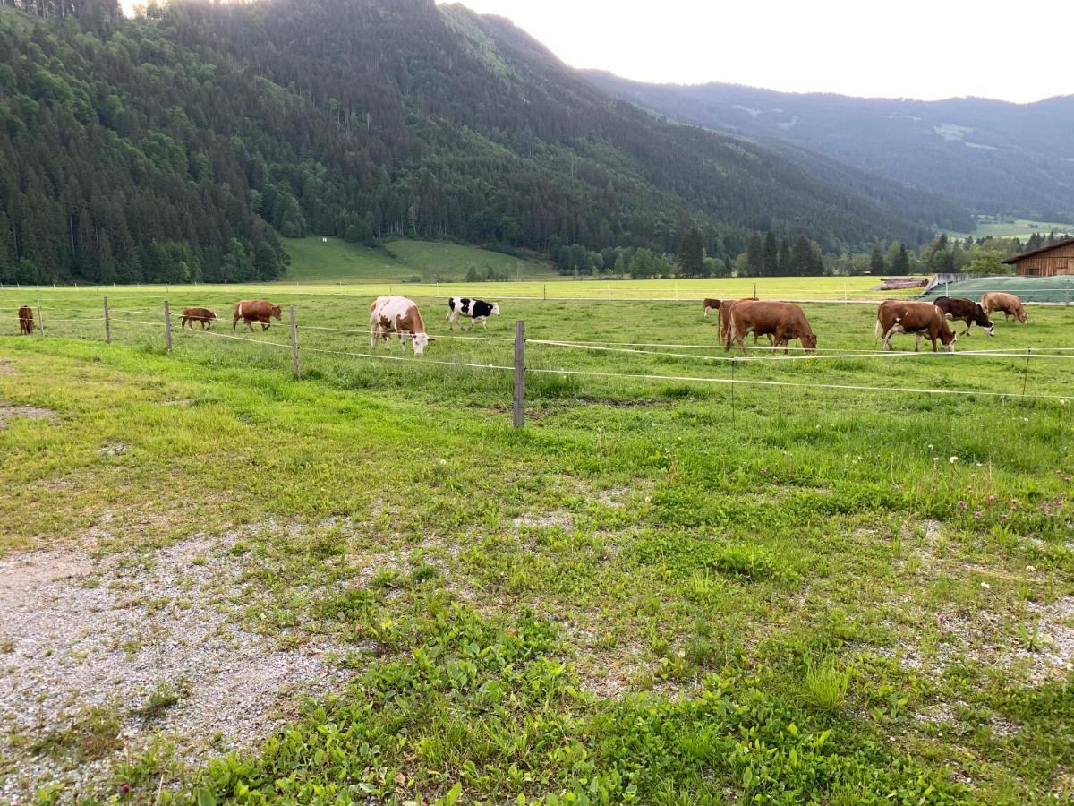 Appartement Buchwald Maishofen Exteriör bild