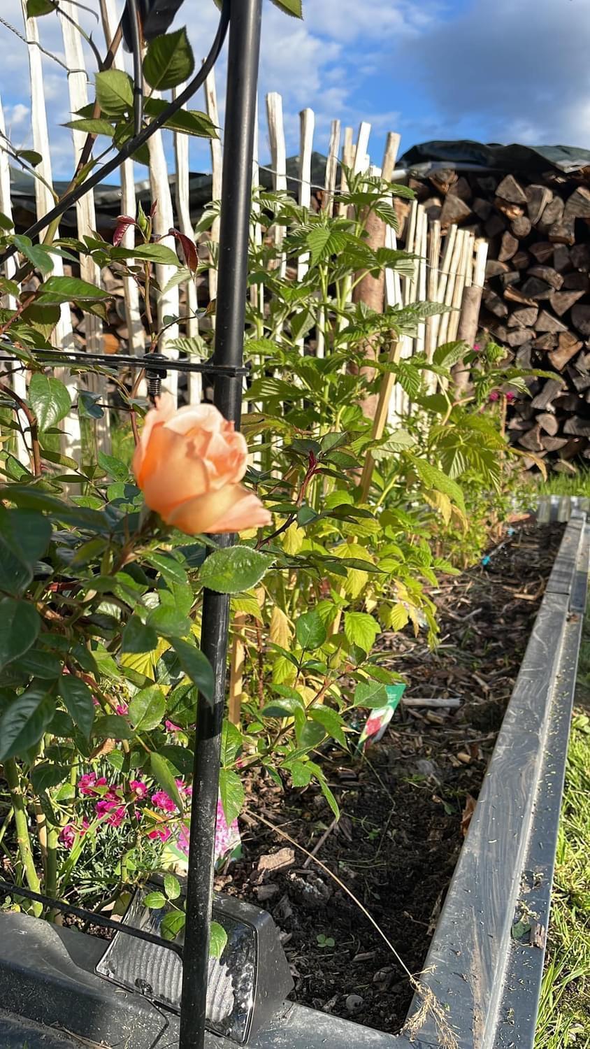 Appartement Buchwald Maishofen Exteriör bild