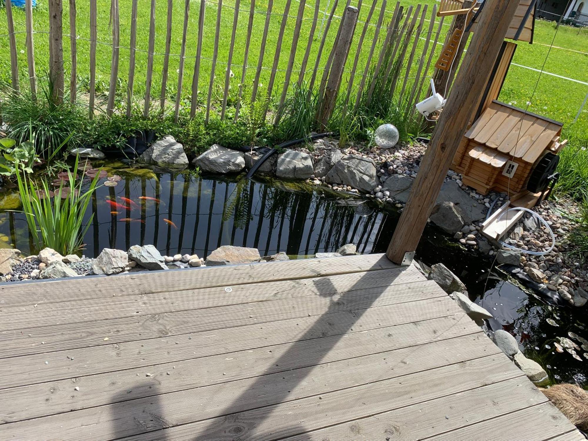 Appartement Buchwald Maishofen Exteriör bild